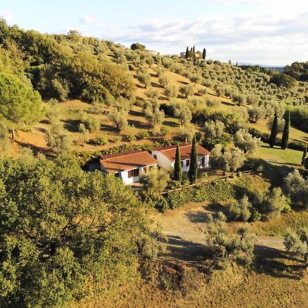 Casa Leccino Villa Riparbella Exterior photo