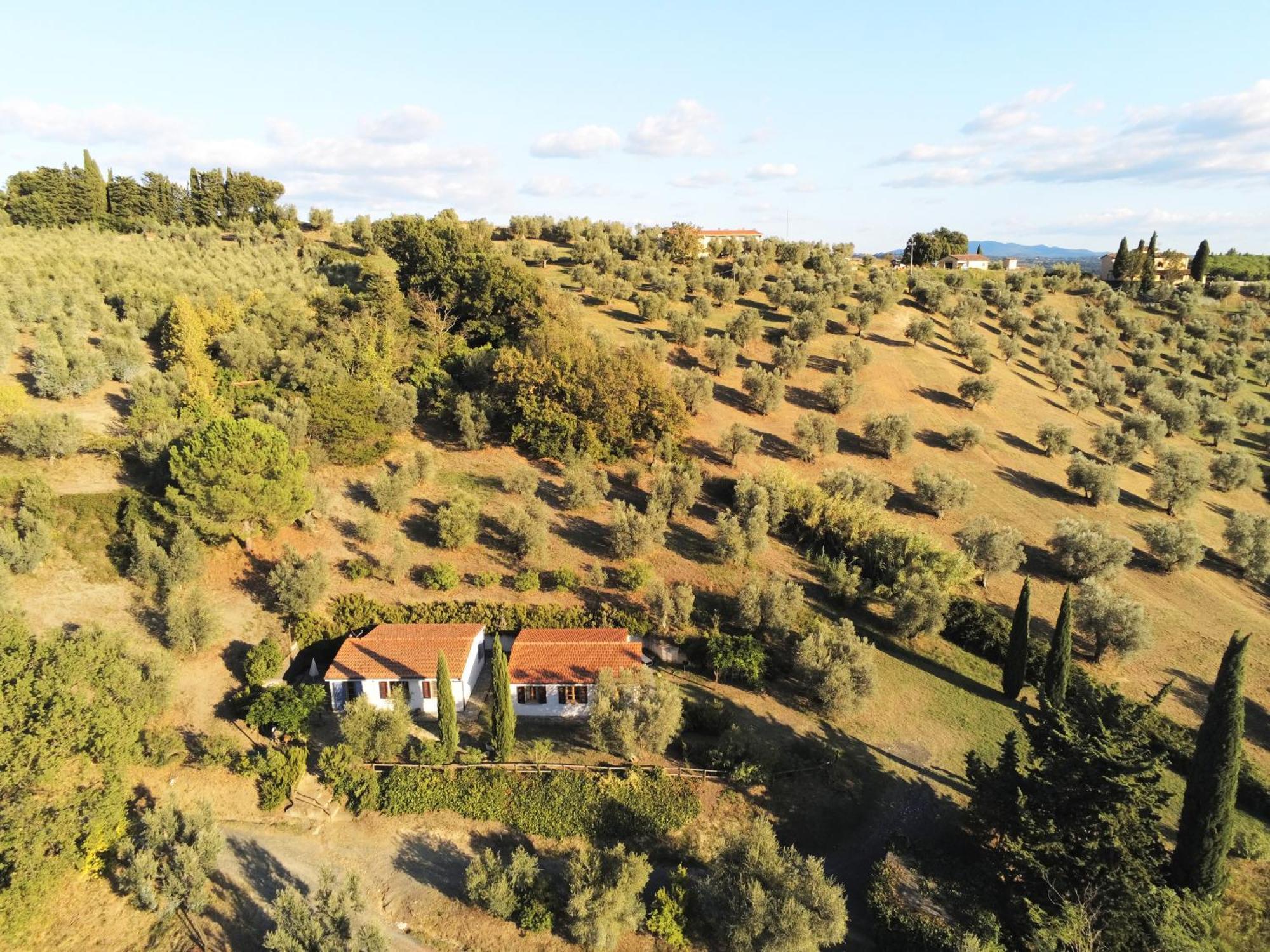 Casa Leccino Villa Riparbella Exterior photo