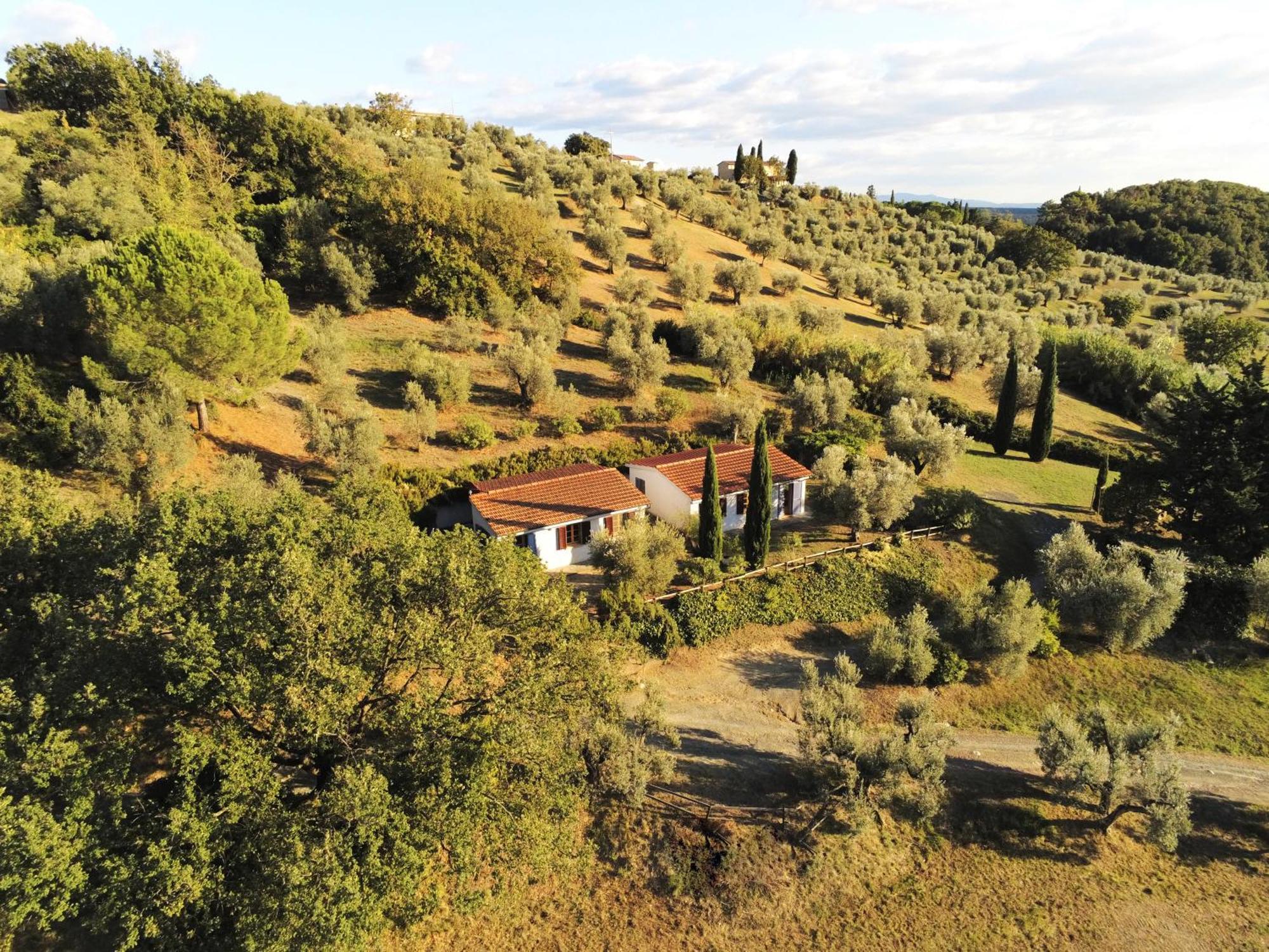 Casa Leccino Villa Riparbella Exterior photo
